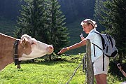Mit der Kuh auf Du... (Foto: Marikka-Laila Maisel)